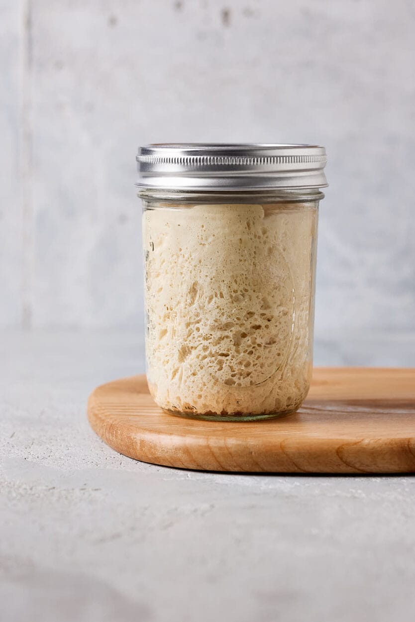 Lievito Madre, italienischer fester Weizensauerteig in einem Glas auf einem Holzbrett.