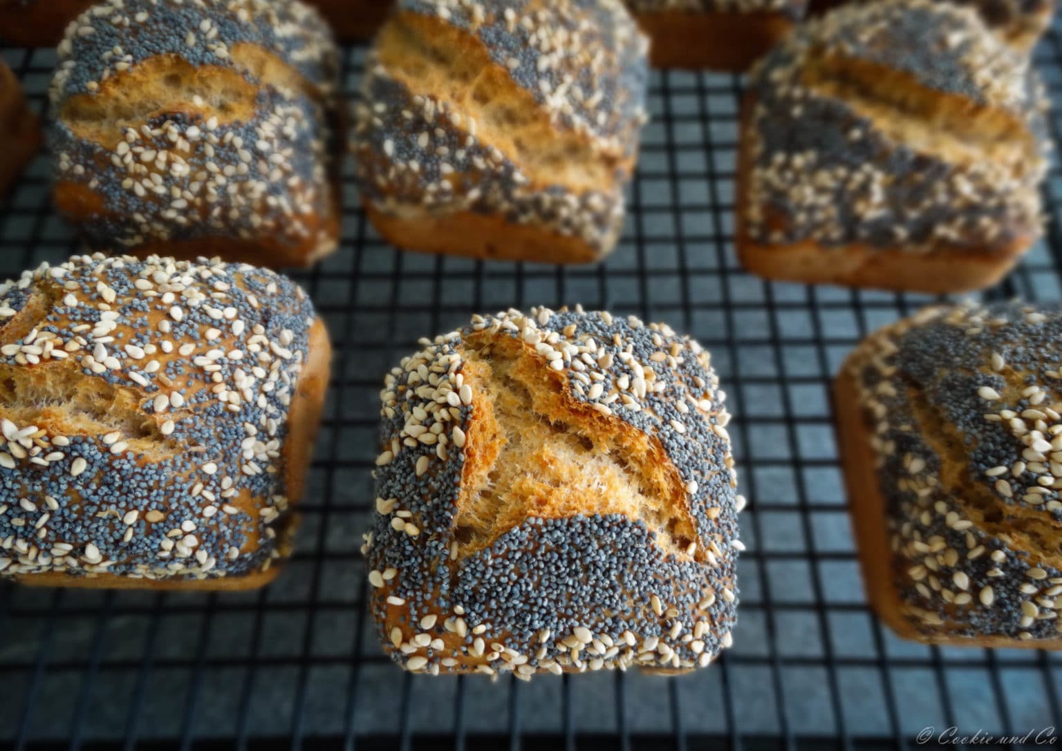 Kleine Weltmeisterbrötchen über Nacht