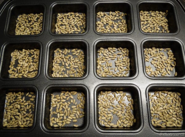 Kleine Weltmeisterbrötchen über Nacht Kleine Weltmeisterbrötchen über Nacht