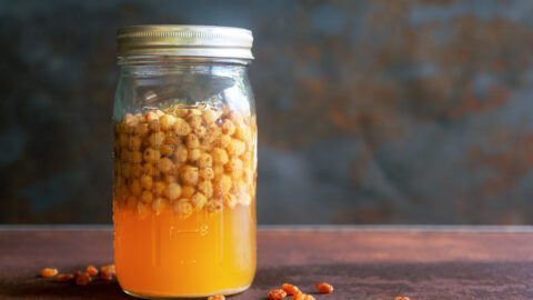 Hefewasser: Fermentwasser aus Rosinen.