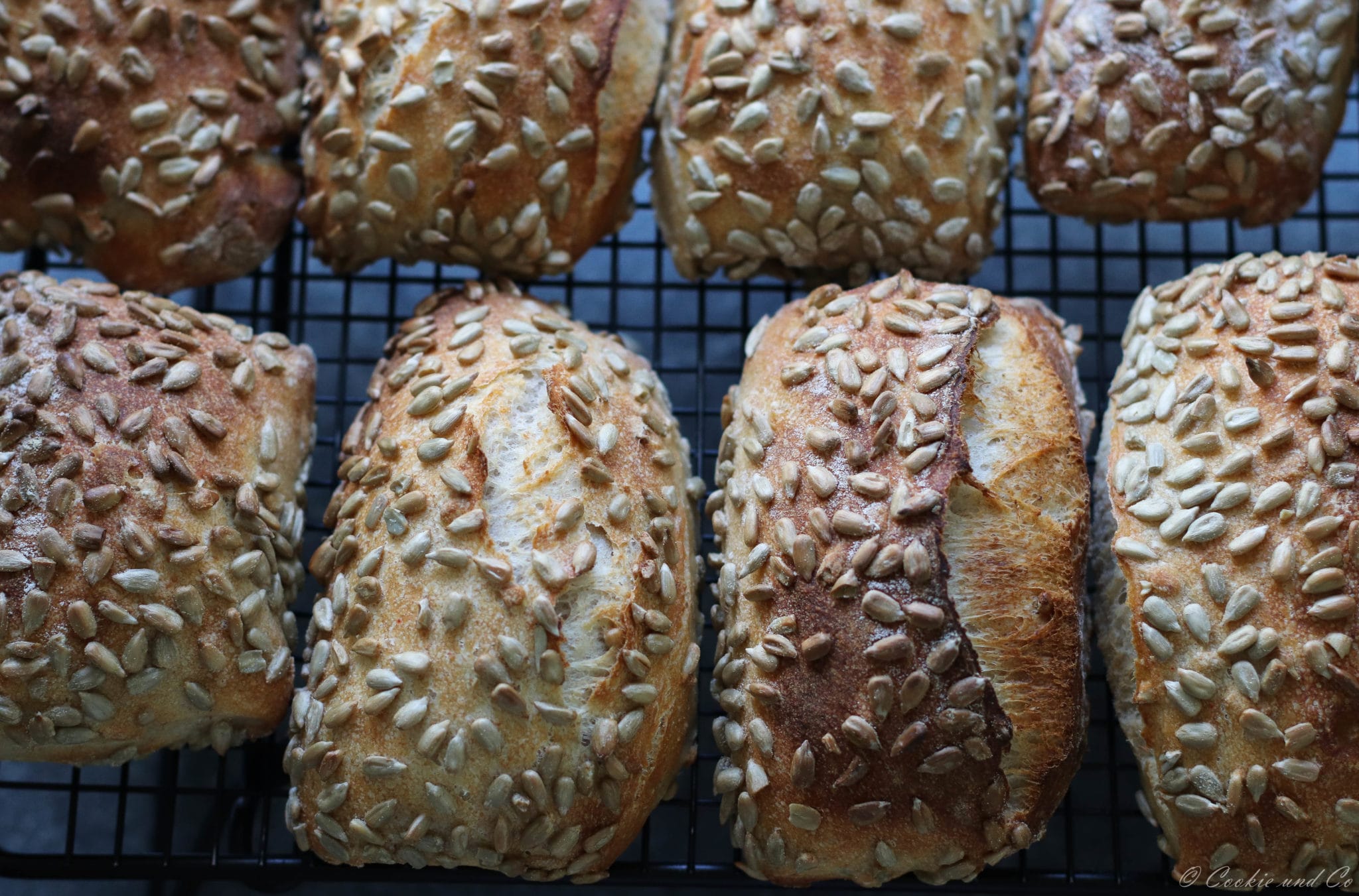 Rezept für Sonnenblumenkernbrötchen Rezept für Sonnenblumenkernbrötchen