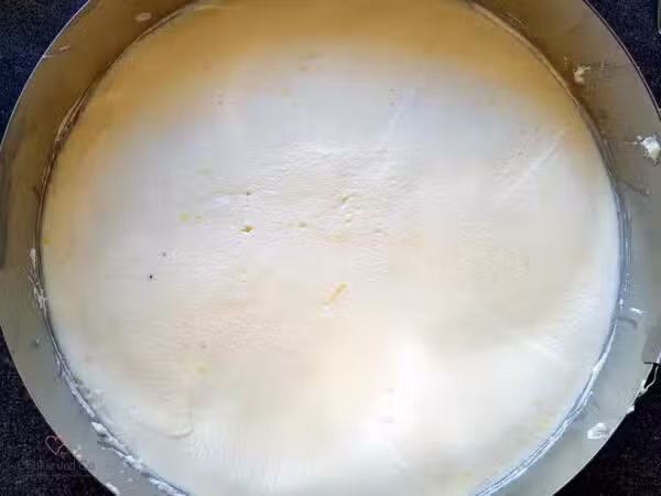 Pfirsich-Maracuja-Torte