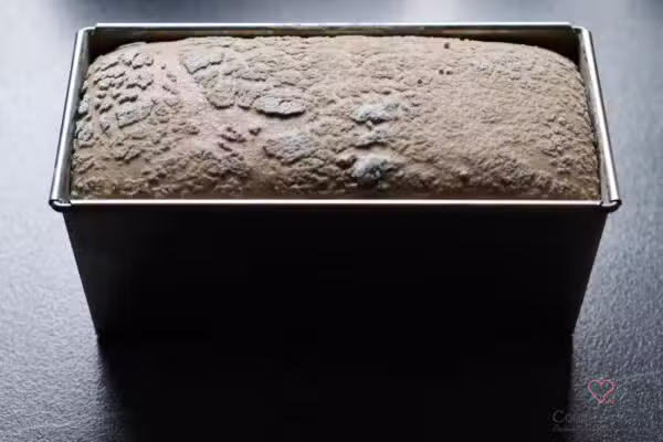 Ruchbrot mit Malzbier