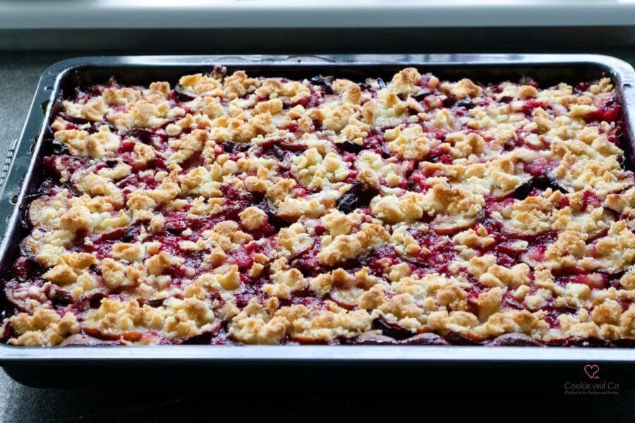 Frisch gebackener Pflaumenkuchen mit Streusel auf einem Backblech aus Quark-Öl-Teig ohne Hefe.