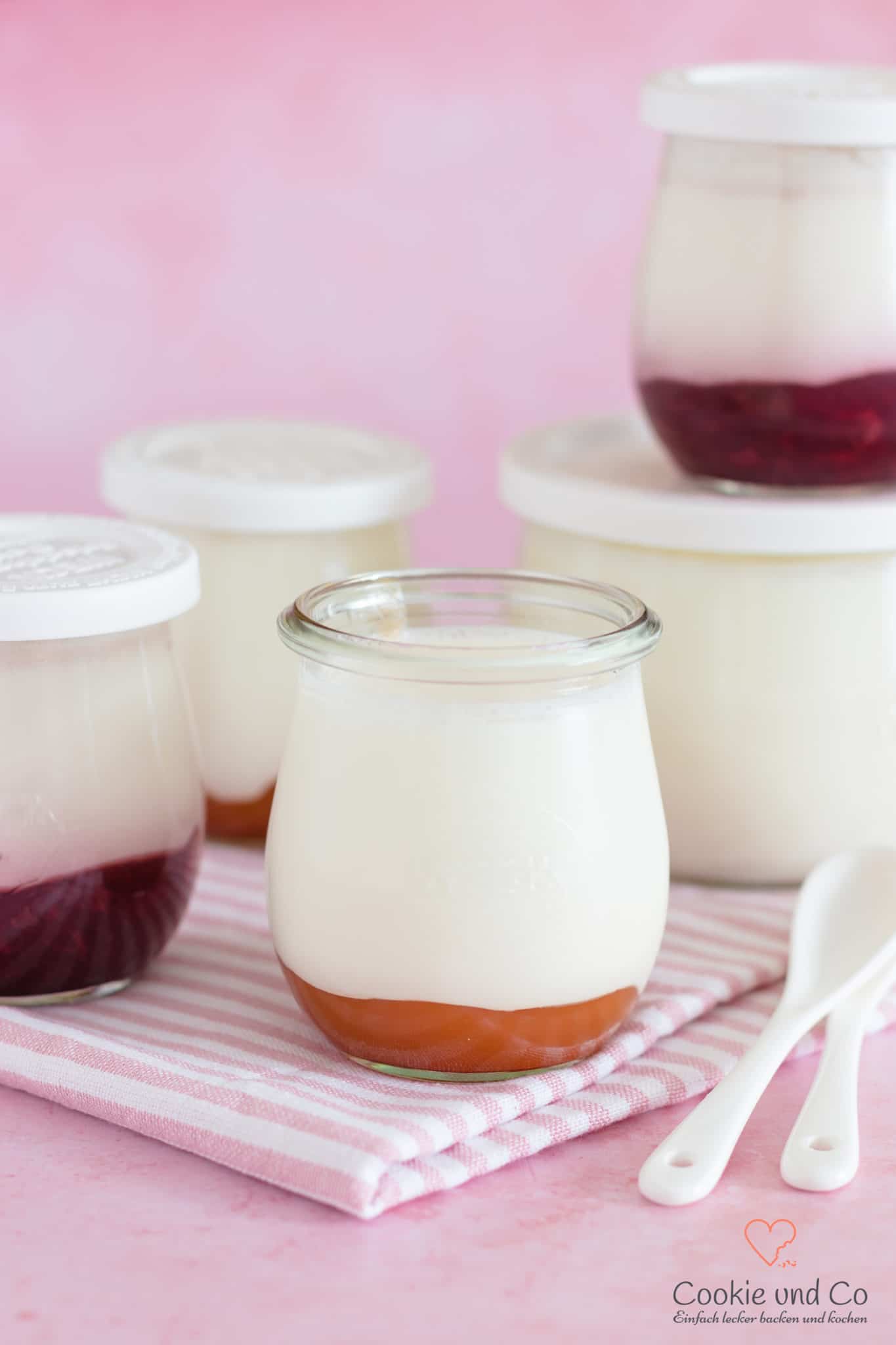 Joghurt selber machen (Naturjoghurt)