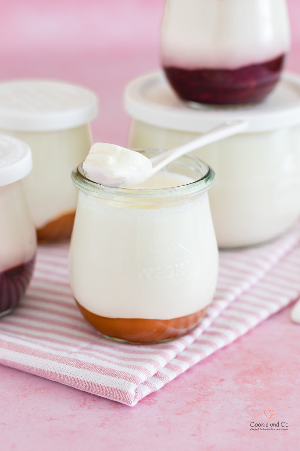 Joghurt - selbstgemachter Naturjoghurt (präbiotisch &amp; lactosefrei ...