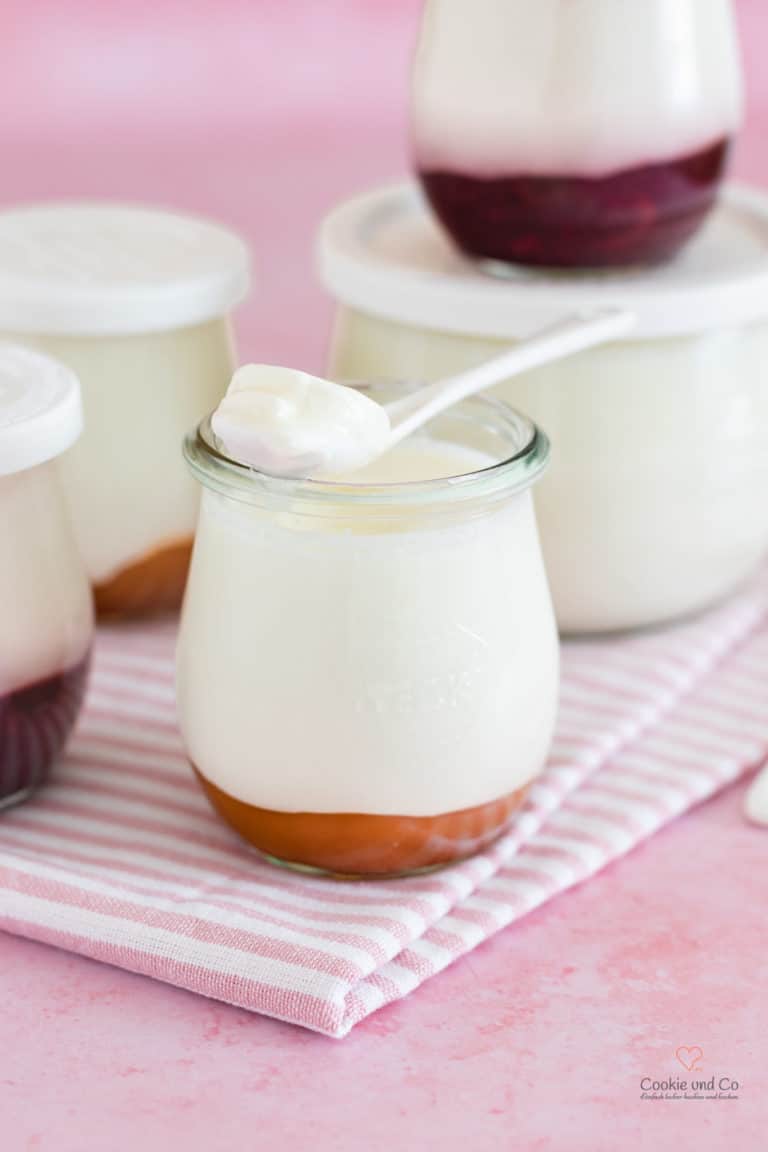 Selbstgemachter Joghurt, auch präbiotisch und lactosefrei möglich
