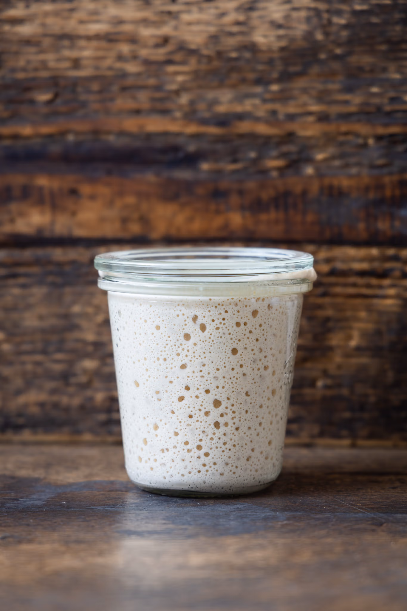 Sauerteig ansetzen für Anfänger – mit Schritt-für-Schritt-Anleitung