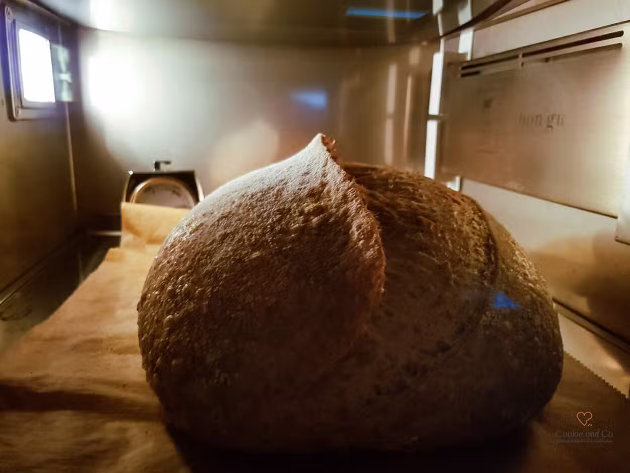 Vollkornbrot mit Vollkorn Manitoba Mehl und langer Teigführung.