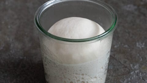 Reife Pâte fermentéei n einem Einmachglas.