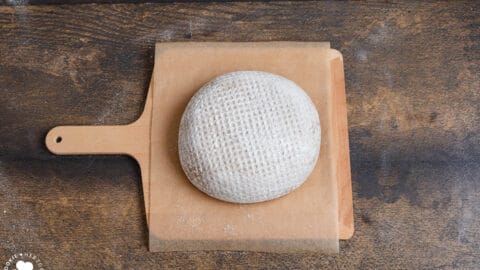 Brot Teigling auf einem Einschießer