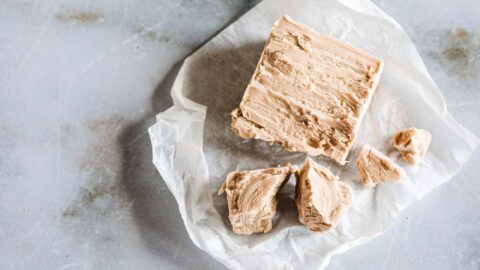 Frische Bäckerhefe las Würfel gepresst, mit muschelartigem Bruch.