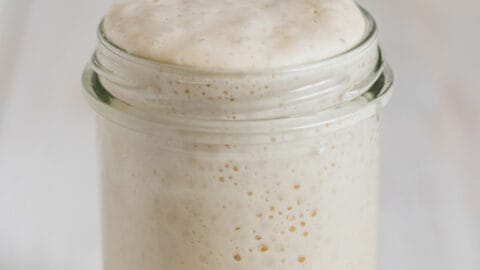 Levain, reifer Weizensauerteig in einem Glas.