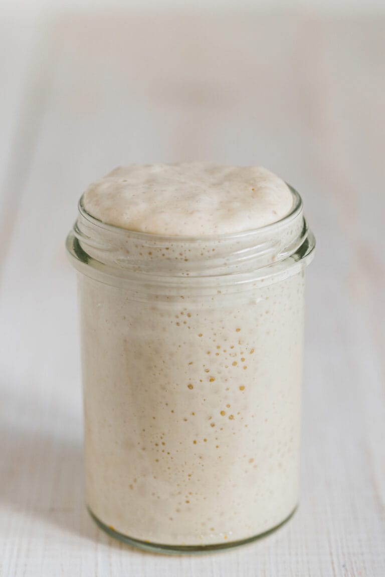 Levain, reifer Weizensauerteig in einem Glas.