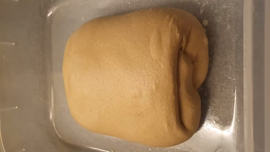 Teig nach dem Coil Fold für eine Weizenvollkornkruste in einer geölten Teigwanne.