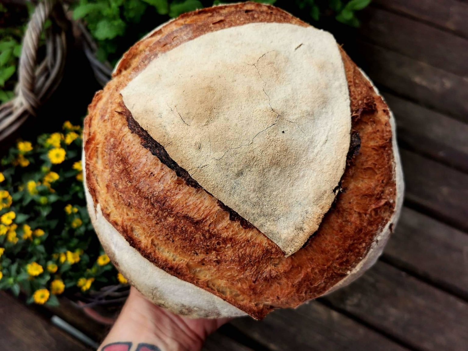 Mediterranes Olivenbrot – Sommerbrot über Nacht