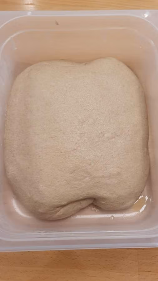 Teig für Weizenvollkornbrötchen in einer Teigwanne