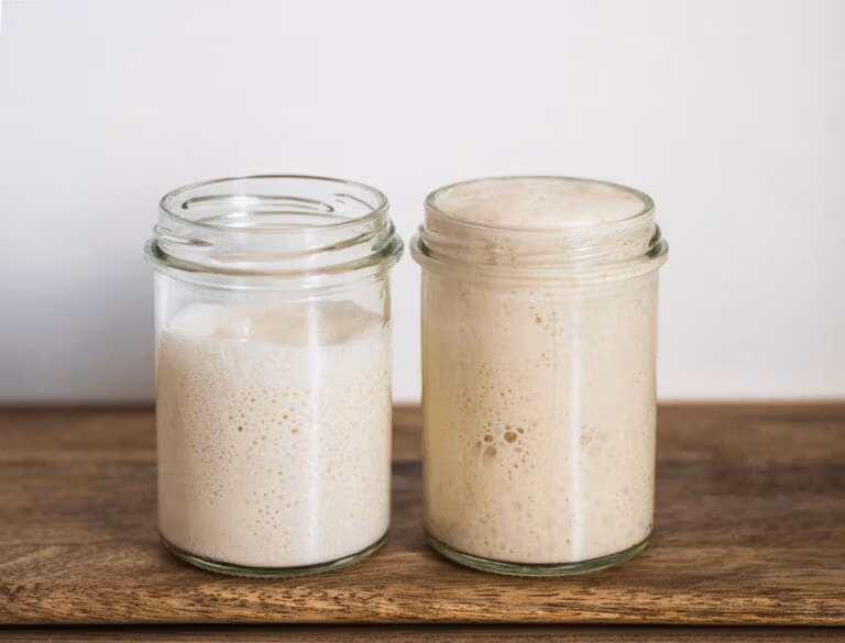 Fermentation und Ansetzen von Sauerteigen.