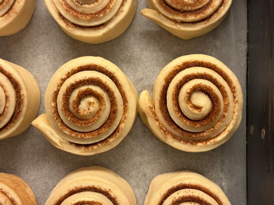 Zimtschnecken-Teiglinge zu Beginn der Stückgare.