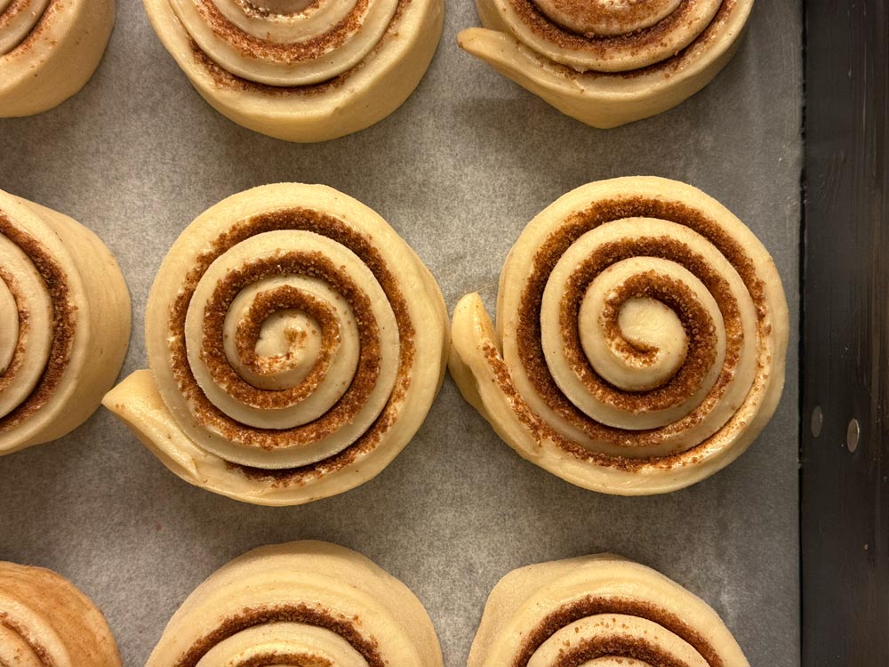 Zimtschnecken-Teiglinge zu Beginn. der Stückgare.