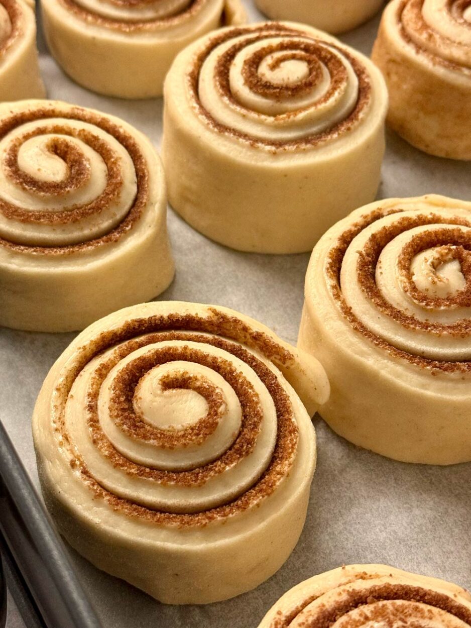 Zimtschnecken-Teiglinge zu Beginn. der Stückgare.