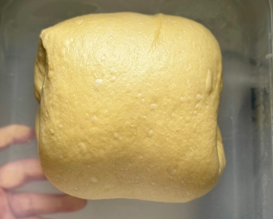 Gekneteter Teig für Brioche Burger Buns in einer Teigwanne.
