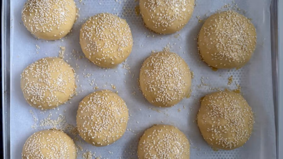 Reife, mit Sesam bestreute Brioche Bun Teiglinge vor dem Backen.