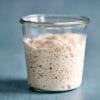Lievito Madre in einem Glas – aus Sauerteig umgezüchtet.