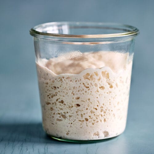 Lievito Madre in einem Glas – aus Sauerteig umgezüchtet.