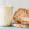 Lievito Madre aus Pulver. Schneller Lievito Madre aus Fermentstarter wie EVA Pulver.