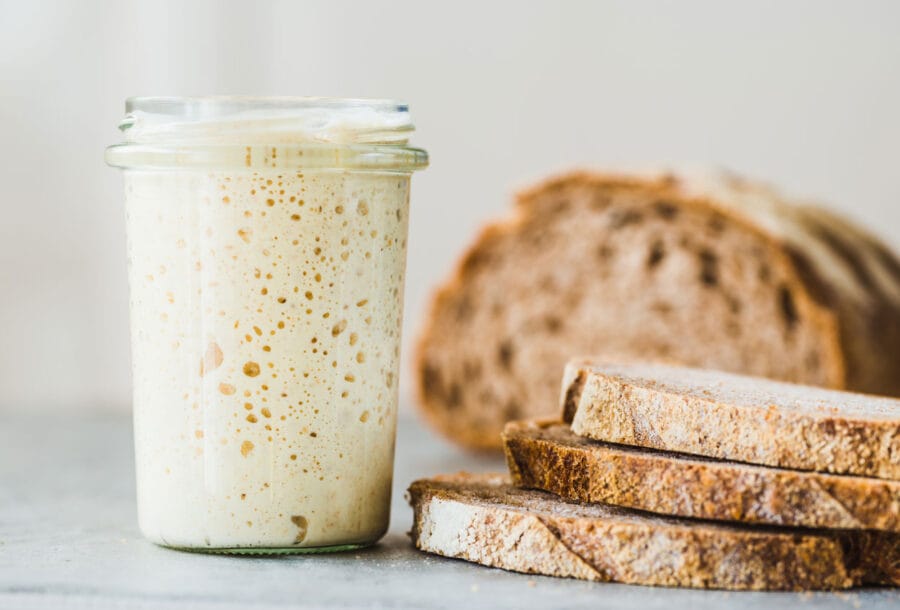 Lievito Madre aus Pulver. Schneller Lievito Madre aus Fermentstarter wie EVA Pulver.