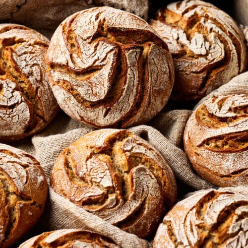 Roggensauerteig Brötchen – rustikale Roggen-Weizen-Mischbrötchen mit rustikaler Kruste.