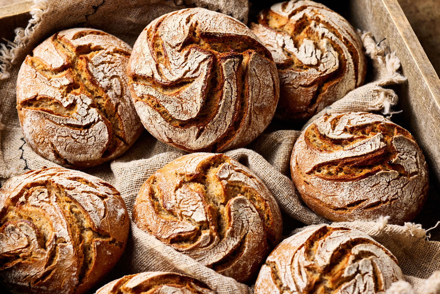 Roggensauerteig Brötchen – rustikale Roggen-Weizen-Mischbrötchen mit rustikaler Kruste.