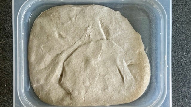 Teig für Roggenbrötchen.