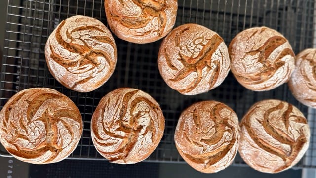 Frisch gebackene Roggenbrötchen mit Sauerteig.