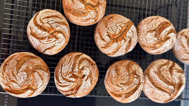 Frisch gebackene Roggenbrötchen mit Sauerteig.