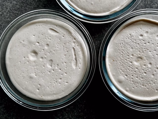 Reife Pizzaballen nach der kalten Gare.