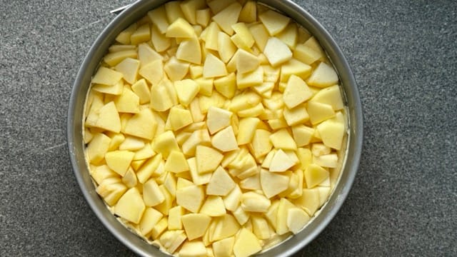 Äpfel in der Springform verteilt.