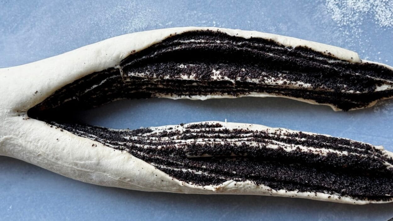 Mohnzopf der Länge nach teilen.