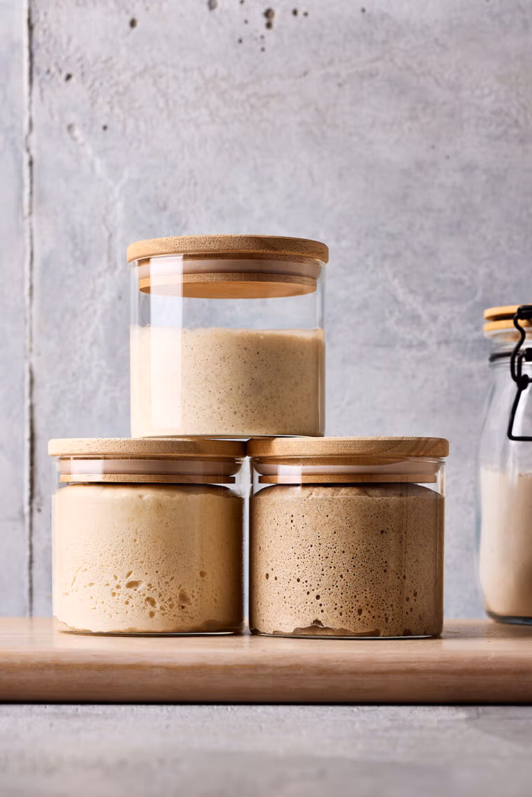 Sauerteig aufbewahren, Roggensauerteig, Weizensauerteig und Lievito Madre in Gläsern mit einem Holzdeckel.