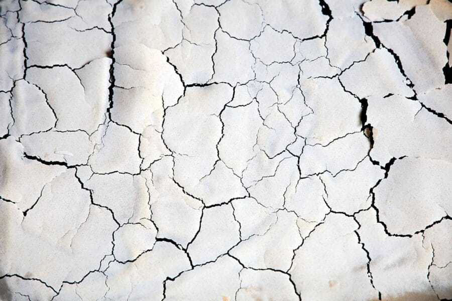 Getrockneter Sauerteig auf einem Backblech.